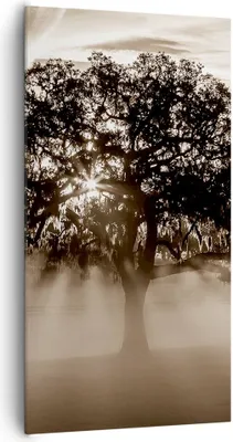 Produktbild von Bild auf Leinwand - Leinwandbild - Baum Feld Natur - 65x120cm - Wand Bild - Wanddeko - Wandbilder - Leinwanddruck - Bilder - Kunstdruck - Wanddekoration - Leinwand bilder - Wandkunst - PA65x120-3811
