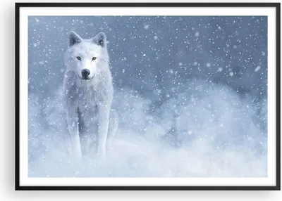 Produktbild von Gerahmtes Poster - Schwarzer Rahmen - Weiß Wolf Schnee - 100x70 cm - Wand Bild - Wanddeko - Wandbilder - Kunstposter - Wandposter - Bilderrahmen - Bilder - Kunstdruck - P2BAA100x70-5006