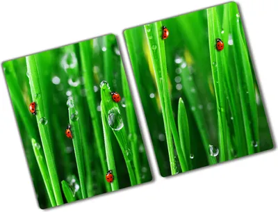 Produktbild von Tulup Glas Herdabdeckplatte - 2x40x52 cm - Glaskeramikkochfeld-Abdeckung Spritzschutz Glasabdeckplatte Kochplattenabdeckung und Schneidebrett - Zweiteilig - Blumen & Pflanzen - Marienkäfer Gras - Grün