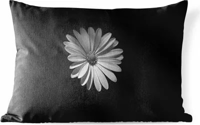 Produktbild von MuchoWow® Outdoor Kissen - Ein weißes Gänseblümchen auf schwarzem Hintergrund - 60x40 cm - Wetterfest - Lounge Kissen - Zierkissen - Kissen für Innenräume