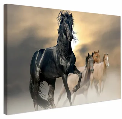 Immagine prodotto di Decorazione da parete in tela con immagine di un cavallo nero, dimensioni 60 x 40 cm