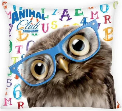Produktbild von Vankúšik Cuddly Cushion Dekoratívny vankúšik Sova 40 x 40 cm