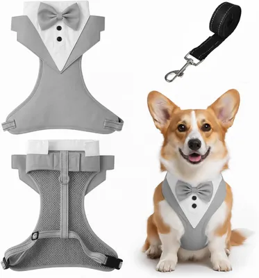 Produktbild von Hundegeschirr L, grau, Fliege, Anti-Zug Geschirr für Hunde