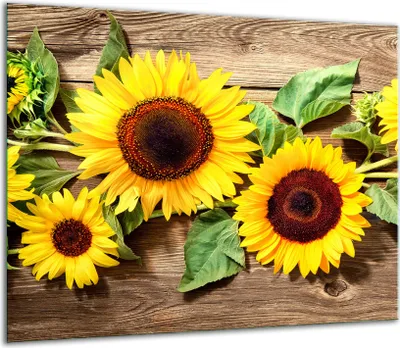 Produktbild von Herdabdeckplatten Glaskeramikkochfeld-Abdeckung Spritzschutz Glas 60x52cm Holz Blume