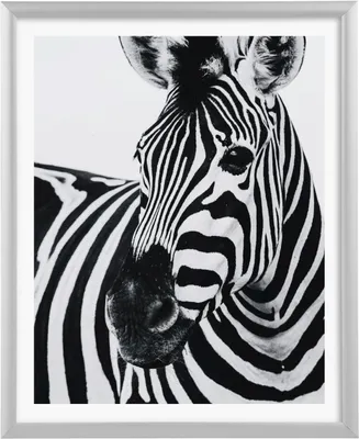 Image de Goldbuch cadre aluminium Alluminio 20x25 cm argenté