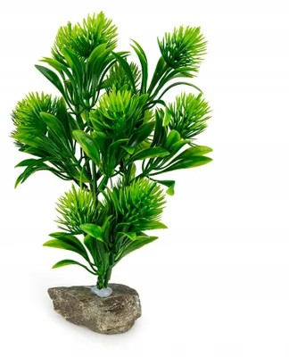 Produktbild von Aquarium Kunstpflanze Dekoration 17 cm, mit Naturstein beschwert, natürliche Optik, sicher für Fische, für Süßwasser Aquarium