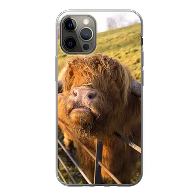 Produktbild von MuchoWow® Handyhülle Schutzhülle Hülle für iPhone 13 Pro Scottish Highlander - Zaun - Gras Silikon Softcase Handy Hülle - Handy-Tasche