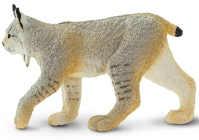 Produktbild von Lynx Figur 8,9 cm von Safari Ltd. – lebensecht, Lernspielzeug für Kinder ab 3