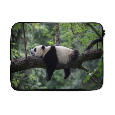 Produktbild von MuchoWow® Laptop Hülle 14 ZollPanda - Baum - Tiere - Natur Laptoptasche - Laptoptasche - Stoßsicher - Schutzhaube