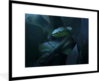 Produktbild von MuchoWow® MuchoWow® Gerahmtes Poster Schlange - Makro - Holz 90x60 cm - Poster mit zchwarzem Bilderrahmen - Wanddekoration - Fotos