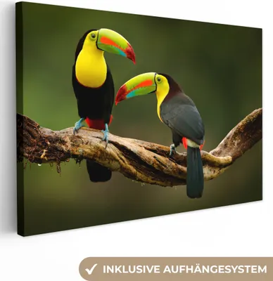 Produktbild von MuchoWow® - Leinwandbilder - Vögel - Tukan - Zweig - Tiere - Regenbogen, Wandbild, Wanddeko Bilder Wohnzimmer, 60x40cm