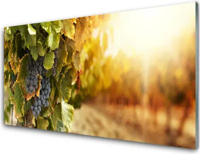 Produktbild von Acrylglasbilder 100x50 Wandbild Druck Weintrauben Natur