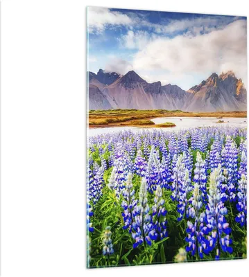 Produktbild von Bilder auf glas - Einteilig - Berge Wiese Blumen - 80x120cm - Glasbilder - Wandbilder - Bilder - zum Aufhängen bereit - Wanddekoration aus Glas - Glas Bilder - Wandbild auf Glas - GPA80x120-4114