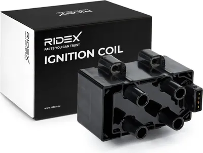 Produktbild von RIDEX 689C0160 Zündspule für RENAULT CLIO II (BB0/1/2, CB0/1/2) TWINGO I (C06) KANGOO (KC0/1) KANGOO Express (FC0/1) LAGUNA II Grandtour (KG0/1)