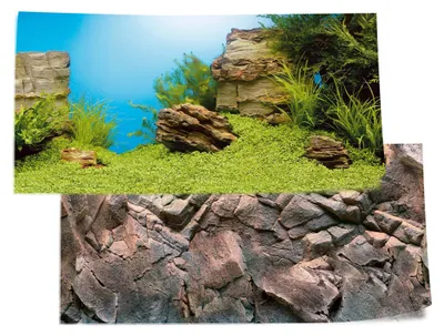 Productafbeelding van Juwel Achterwand Poster 1 S - 60x30cm