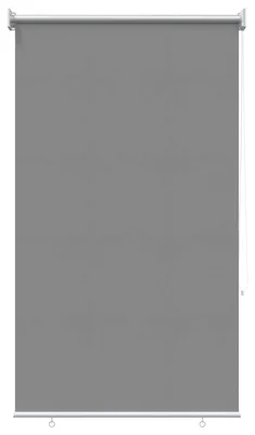 Image de Stores extérieurs vidaXL avec protection UV, gris clair, 100 x 140 cm