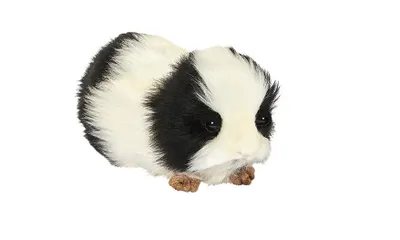 Immagine prodotto di Hansa Toy 4592 Porcellino d'India 20 cm peluche peluche peloso