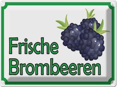 Produktbild von vianmo Blechschild 30x40 cm frische Brombeeren Hofladen Marktstand Laden Obst Gemüse
