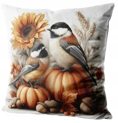 Obrázek produktu pro Dekorativní povlak na polštář z veluru, 40x40 cm, motiv dýně