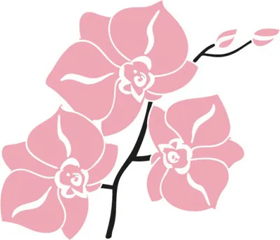 Produktbild von Softpoint Serviette Shija, 1/8 Falz, 40 x 40 cm, 50 Stück - Mank - Floral Blume Orchidee