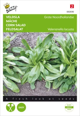 Produktbild von Feldsalat Holländischer Breitblättriger | Feldsalatsamen von Buzzy Seeds