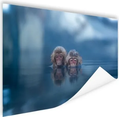 Produktbild von MuchoWow® Poster Japanisch - Affen - Wasser - Tiere - Landschaft 120x80 cm - Bilder