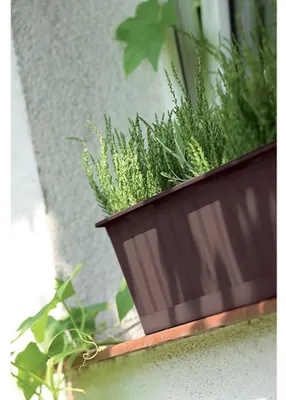 Produktbild von Blumenkasten Agro rechteckig Kunststoff terracotta 800x180x140mm