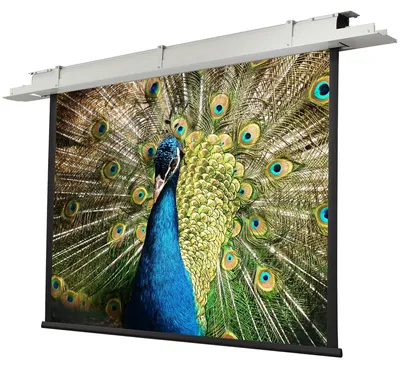 Produktbild von Celexon Expert 300 x 225 cm, Motorisiert, 2,25 m, 3 m, 4:3