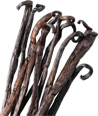 Produktbild von Vanilleschote Bourbon, ganz, Vanillestange aus Madagaskar zum Backen, 1 Stück