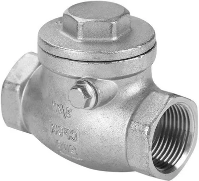 Productafbeelding van Roestvrijstalen terugslagklep 3/4", DN20, 200 PSI voor water, olie en stoom
