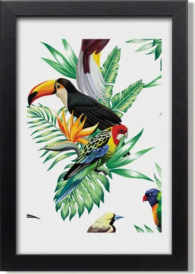 Produktbild von Bild 20x30 MDF-Rahmen, Wandkunst Tropische Vögel