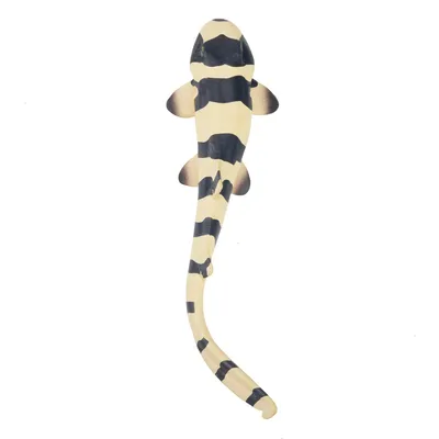 Produktbild von Toymany ML00273 Braunband-Bambushai 12,1 cm Wasserwelt