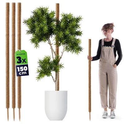 Produktbild von KADAX Kokosstab 150cm für Zimmerpflanzen, 3 Stück, Pflanzstab aus Kokosfaser zur sicheren Pflanzenstütze, Moosstab für Kletterpflanzen, Monstera Rankhilfe, Pflanzenstab