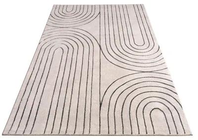 Produktbild von Paco Home Teppich Wohnzimmer Schlafzimmer Kurzflor Skandi Muster Bogen Motiv Waschbar 200x290 cm