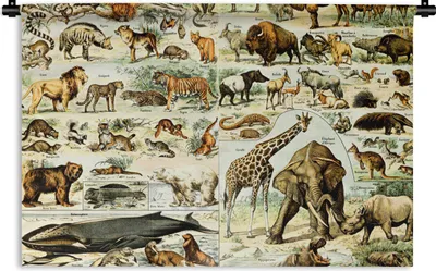 Produktbild von MuchoWow® Wandteppich Wandbehang Tiere - Giraffe - Löwe 120x80 cm Tapisserie Dekoration Wandtuch - Wanddekorationen - Wandtücher