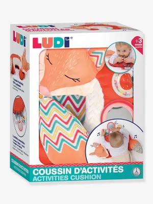 Produktbild von LUDI 30101, 0,25 Jahr(e)