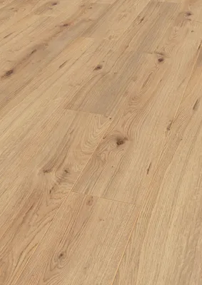 Produktbild von Laminat Jangal 8145 Bright Oak National Park Line Pro 8mm