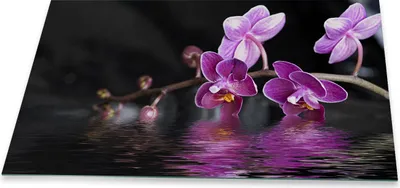 Produktbild von Herdabdeckplatte Abdeckung Glaskeramikkochfeld Abdeckplatte 1-Teilig 90x52 Orchidee Schutz
