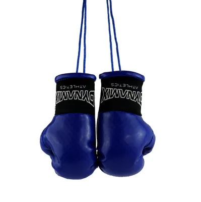 Produktbild von Dynamix Athletics Autospiegel Mini Boxhandschuhe Carbonix(Blau)