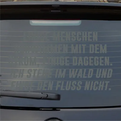 Produktbild von Heckscheibenaufkleber Menschen schwimmen mit dem Strom, einige dagegen. 55x31 cm Grau Auto Aufkleber Sticker