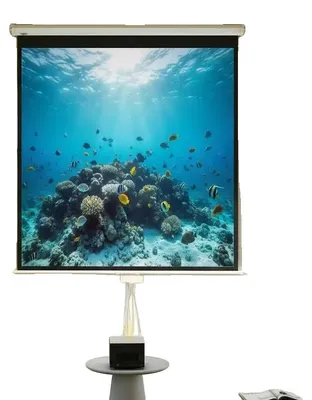 Produktbild von Projektionsleinwand, 85 Zoll Diagonale, faltenfreier Stoff, Ultra HD 4K Auflösung, 1:1 Seitenverhältnis, 160 Grad Betrachtungswinkel