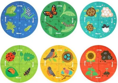 Produktbild von Discovery Puzzle