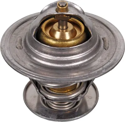 Zdjęcie produktu dla Termostat Vw 87C