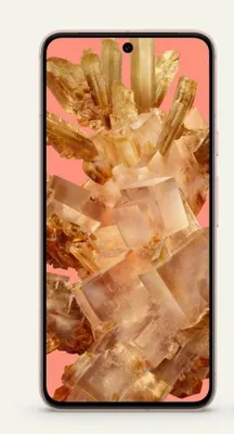 Produktbild von Google Pixel 8 , 15,8 cm (6.2"), 1080 x 2400 Pixel, 8 GB, 256 GB, 50 MP, Rose