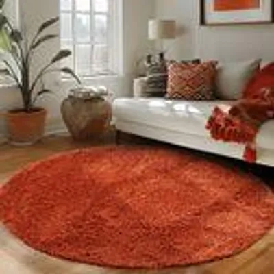 Produktbild von Teppich Wohnzimmer Hochflor Einfarbiges Design Langflor Shaggy Modern Flauschig, Größe: 160 cm Rund, Farbe: Terrakotta