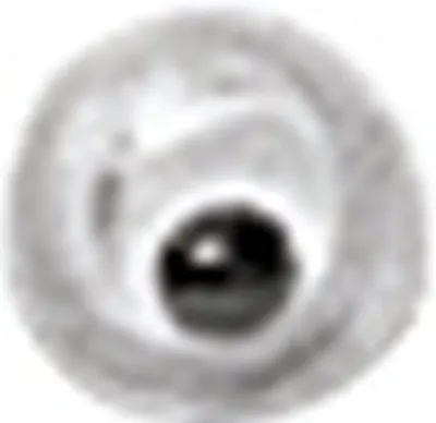 Produktbild von KNORR prandell 212480034 Wackelaugen Ø 3 mm weiß mit schwarzer Pupille