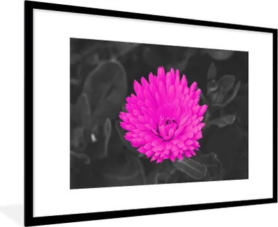 Produktbild von MuchoWow® Gerahmtes Poster Blumen - Aquarell - Rosa 90x60 cm - Poster mit Schwarzem Bilderrahmen Wandposter Rahmen Foto Bilder - Wanddekoration - Fotos