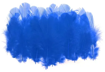 Produktbild von Naturfedern - 300 Stück Hahnfedern für Bastelarbeiten - Für Traumfänger Ohrringe und Anhänger - Blau