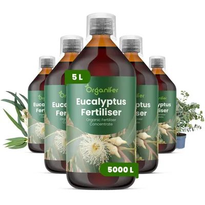 Produktbild von Eucalyptus Flüssigdünger 5x1L – 3-4-3 NPK – Flüssigdünger Für Bäume – Für Blätter & Kräftiges Wachstum – Fördert Wurzeln & Stabilität – Organifer