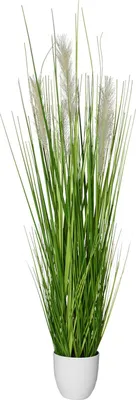 Produktbild von VIVANNO Kunstpflanze Kunststoff PAMPAS Organisch, Grün naturgetreu - 40x120 cm